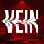 VEIN Logo